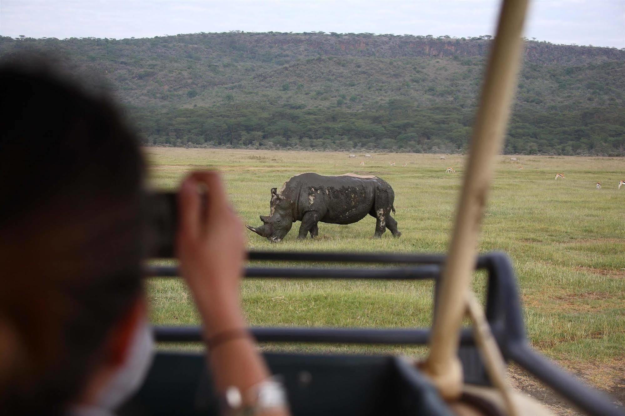 נקורו Sarova Lion Hill Game Lodge מראה חיצוני תמונה