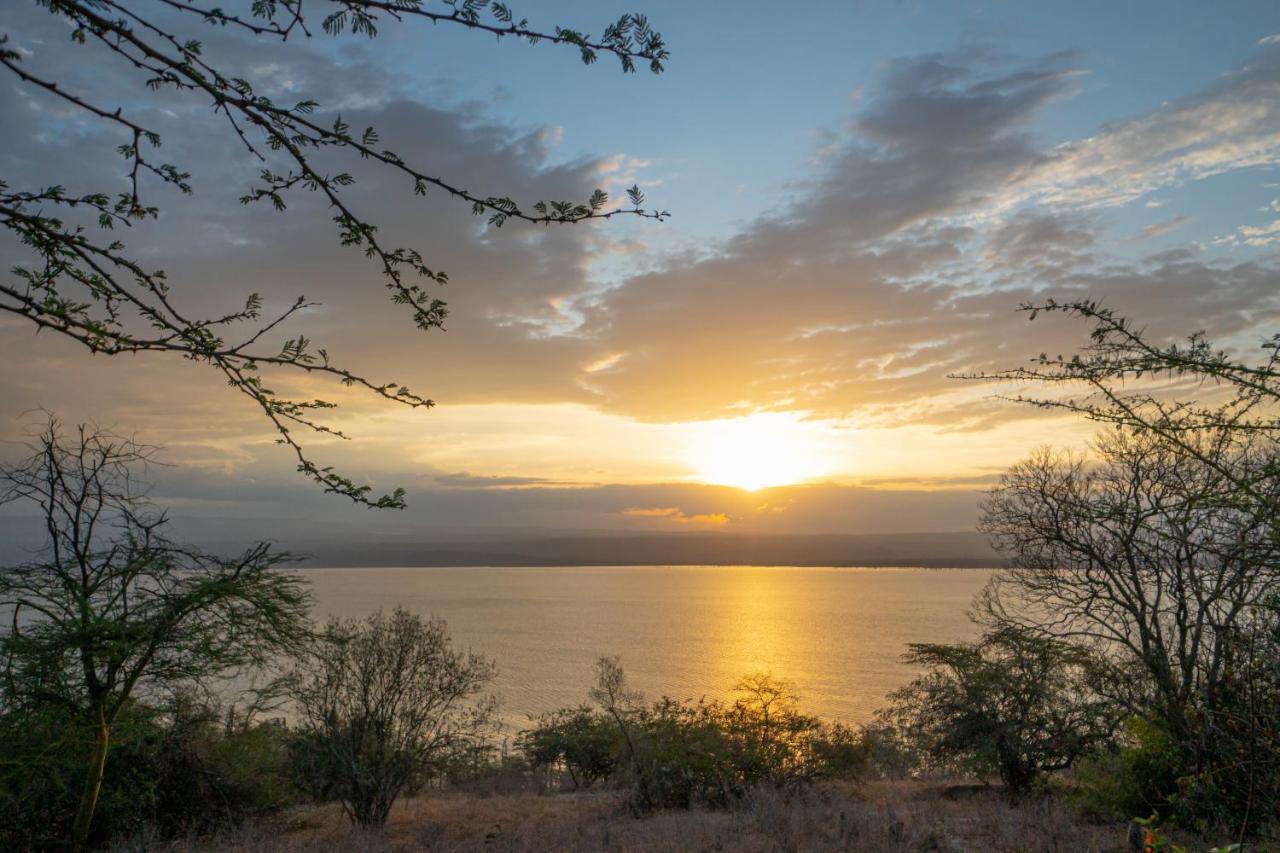 נקורו Sarova Lion Hill Game Lodge מראה חיצוני תמונה